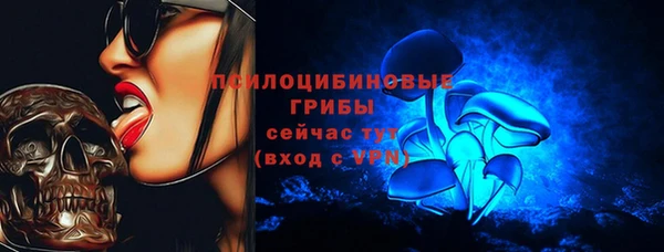 дмт Алзамай