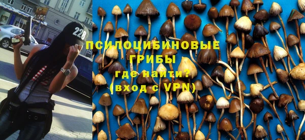 синтетический гашиш Алексеевка