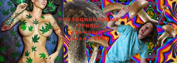 синтетический гашиш Алексеевка