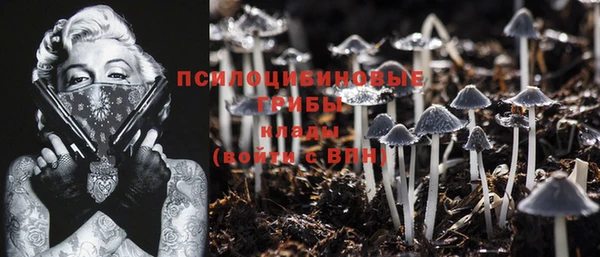 mdpv Алексин