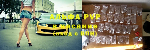 дмт Алзамай