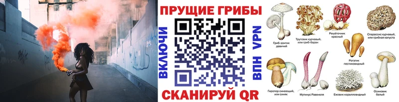 Псилоцибиновые грибы ЛСД  Когалым 